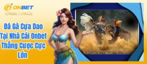 Đá Gà Cựa Dao Tại Nhà Cái Onbet Thắng Cược Cực Lớn