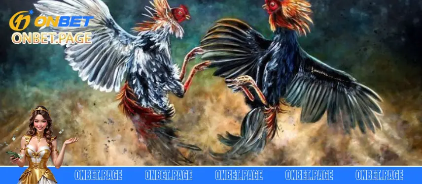 Đá Gà Cựa Dao Tại Nhà Cái Onbet Thắng Cược Cực Lớn Luật chơi đá gà cựa dao rất đơn giản