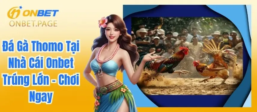 Đá Gà Thomo Tại Nhà Cái Onbet Trúng Lớn - Chơi Ngay